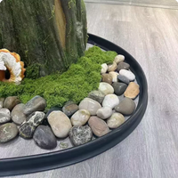 Flexible Garden Edging Stone Border for Landscaping and Plant Beds