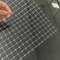 PP Biaxially Oriented Plastic Mesh for Garden, Farm, and Animal Enclosures - Anti-Bird, Anti-Insect, Plant Climbing Net