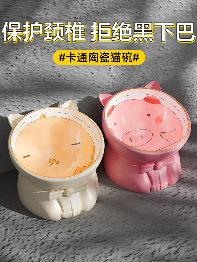 Ceramic Elevated Cat Bowl with Tilted Design for Food and Water, Anti-Vomit Pet Feeder