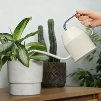 Long Spout Watering Can for Indoor Outdoor Plants, Small Vintage Iron Art Watering Pot for Succulents and Potted Plants