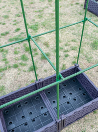 Garden Trellis Planter Box for Climbing Plants, Vegetables, and Fruits