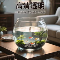 Round Desktop Fish Tank for Goldfish and Betta Fish, Ecological Aquascape Aquarium