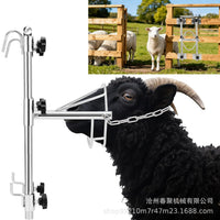 Adjustable 304 Stainless Steel Sheep Head Holder for Shearing and Injections