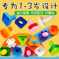 Autism Therapy Fine Motor Skill Training Toy Set for Kids - Screw and Nut Matching Activity