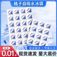 Reusable Self-Absorbing Ice Pack for Express Delivery, Food Preservation, and Commercial Refrigeration
