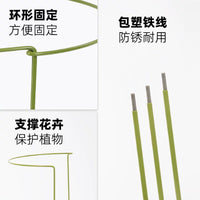 Plant Support Stakes for Climbing Vines, Flowers, and Potted Plants - Rustproof Iron Trellis for Indoor and Outdoor Use