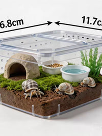 Hermit Crab Terrarium with Accessories - Transparent, Ventilated Habitat for Small Reptiles and Snails