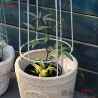 Miniature Iron Art Trellis for Climbing Plants, Vintage Style Birdcage Design for Outdoor Garden and Balcony