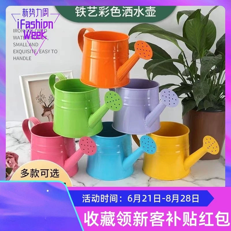 Garden Watering Can with Lid for Indoor and Outdoor Plants