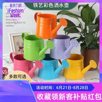 Garden Watering Can with Lid for Indoor and Outdoor Plants