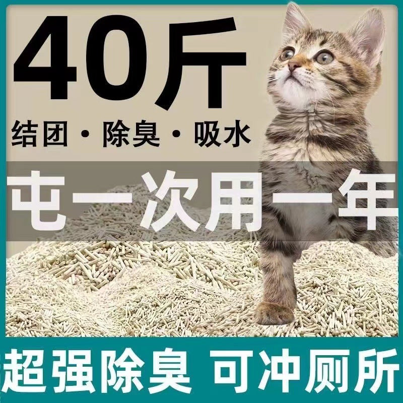 Tofu Cat Litter, Odor Control, Low Dust, 10-20 lbs Bulk Bag for Cats