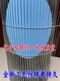 Galvanized Welded Wire Mesh Fence for Animal Enclosures and DIY Cages