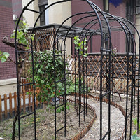 Garden Arch Trellis for Climbing Plants, Roses, Grapes - Outdoor Metal Archway Support