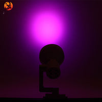 Full Spectrum LED Grow Light for Indoor Plants, Terrariums, and Micro-Landscapes