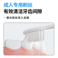 5-Pack Macaron Foldable Travel Toothbrushes with Soft Bristles