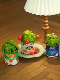 Miniature Fruit Box & Potted Plant Dollhouse Accessories for Blythe Dolls