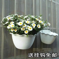 Wall-Mounted Flower Pot with Wave-Edge Design, Thickened Plastic, Water Storage, Hanging Plant Pot for Wall, Balcony Railing, Includes Hooks