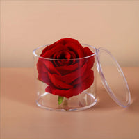 Clear PS Plastic Round Storage Box with Lid for Baking and Gifts