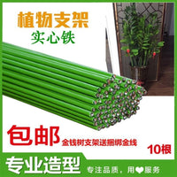 Plant Support Stakes for Climbing Vines, Potted Flowers, and Vegetables - 4mm Wire Garden Trellis