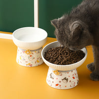 Ceramic Pet Bowl for Cats and Small Dogs, Elevated Tilted Design for Neck Protection, Anti-Spill Food and Water Dish