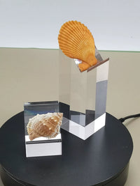 Acrylic Slanted Display Stand with Hooked Base and Baffle for Jewelry and Small Items
