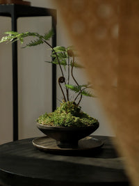 Artificial Fern Bonsai with Zen-Inspired Pot for Home and Office Decor