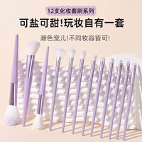 Beginner 12-Piece Soft Bristle Eyeshadow Blush Makeup Brush Set with Storage