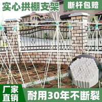 Plant Support Stakes for Climbing Vegetables and Fruits, Garden Trellis for Cucumber, Tomato, Bean, Loofah, Grape