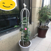 Outdoor Metal Rose Climbing Trellis for Potted Plants