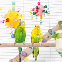 Parrot Chew Toy Ball for Small Birds, Cage Decoration and Entertainment