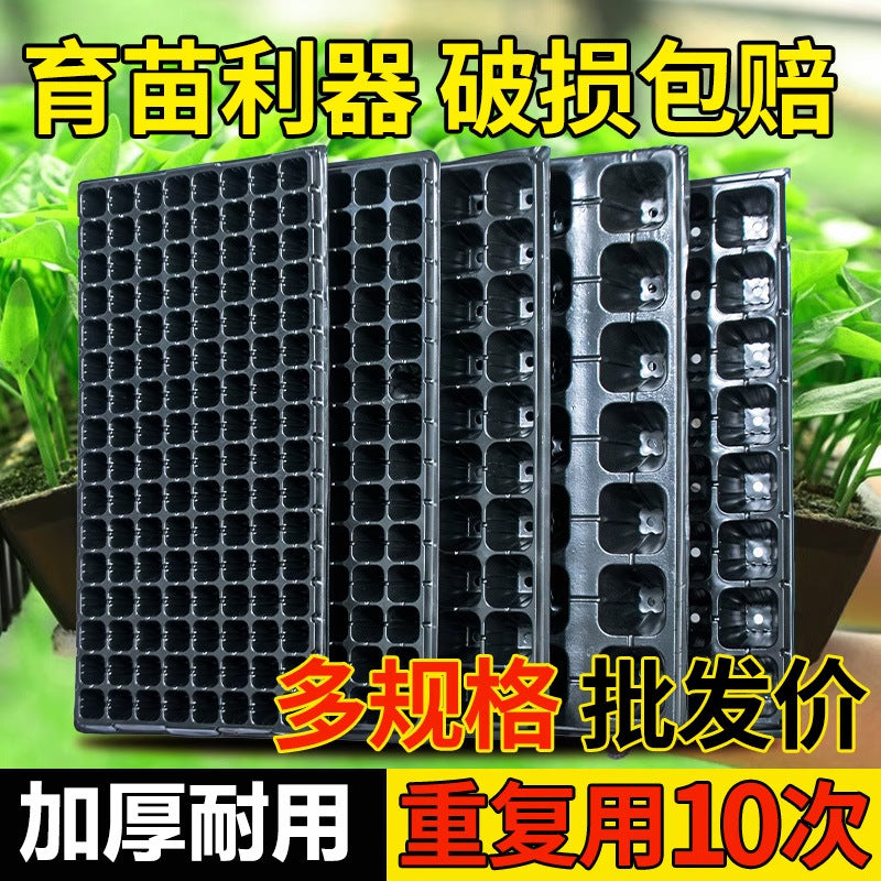 Seedling Starter Trays with Holes for Strawberry Watermelon Vegetables Succulents