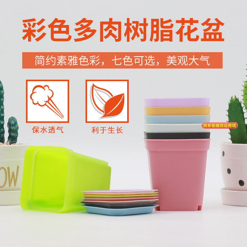 Thickened Square Plastic Succulent Planter Pot with Drainage Tray, Korean Style Nursery Pot