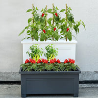 Large Rectangular Self-Watering Planter Box with Legs for Balcony Garden