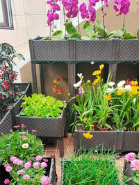 Rolling Raised Garden Bed Planter Box for Vegetables and Flowers, Large Rectangular Plastic Container for Balcony Patio Indoor Use