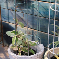 Miniature Iron Art Trellis for Climbing Plants, Vintage Style Birdcage Design for Outdoor Garden and Balcony