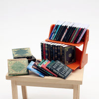 Dollhouse Miniature Classic Novel Model Bookcase with Books