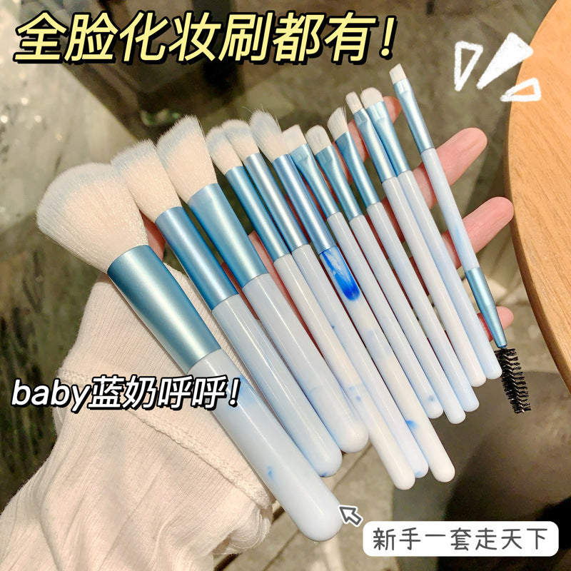 12-Piece Sky Blue/Pink Makeup Brush Set with Soft Eyeshadow and Powder Brushes for Beginners