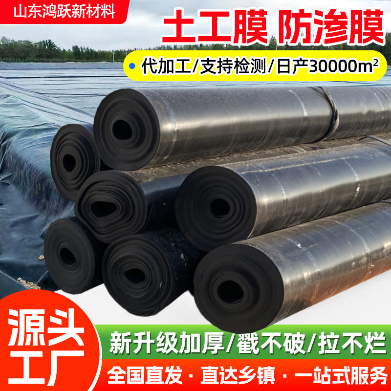 HDPE Geomembrane Liner for Fish Ponds, Landfills, and Water Reservoirs