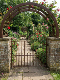 European Iron Archway Garden Trellis for Climbing Plants