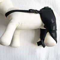 Pet Dog Front Leg Brace for Injury Recovery and Joint Protection