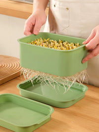 3-Pack Seed Sprouting Trays for Hydroponic Growing, Food-Grade Bean Sprout Germination Kit