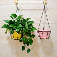 Iron Art Balcony Hanging Planter Basket for Green Plants, Spider Plants, Succulents - Hanging Flower Pot Stand