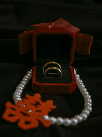 Pet Wedding Ring Bearer Necklace Pouch for Dogs - Velvet Jewelry Bag for Proposals and Special Occasions