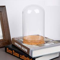DIY Glass Dome Display with Cork Base for Dried Flowers Figurines Keepsakes