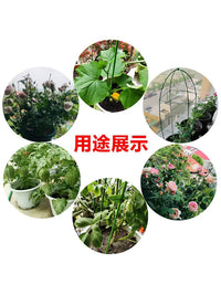 Plant Support Stakes for Indoor Potted Plants, Climbing Vines, and Garden Flowers