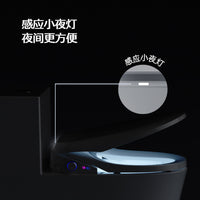Smart Bidet Toilet Seat with Remote Control, Heated Seat, Instant Warm Water, Auto Open/Close Lid