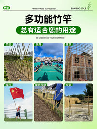 Durable Anti-Corrosion Bamboo Poles for Garden Trellis, Flagpoles, Cucumber and Bean Climbing Vines, and Fences