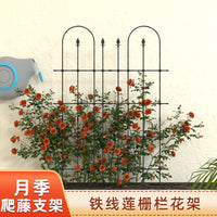 Garden Trellis for Climbing Plants, Rose, Clematis, Outdoor Fence Support