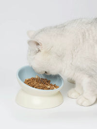 Elevated Ceramic Pet Bowl for Cats & Small Dogs, Tilted or Flat Mouth Design, Neck Protection Food & Water Dish