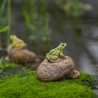 Miniature Frog Figurines for Garden & Micro Landscape Decor